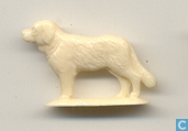Hond