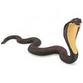 Snakes