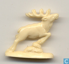 Red Deer