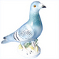 Pigeons