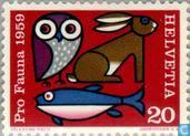 Dierenbescherming
