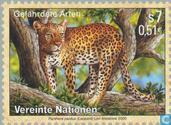 Bedreigde dieren