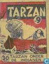 Tarzan onder de indianen