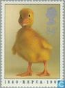 Dierenbescherming 150 jaar