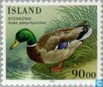 Vogels