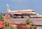 Martinair - DC-8 (03)