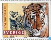 1998  Tijgers För. Brev