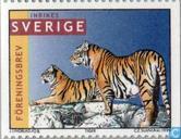 1998  Tijgers För. Brev