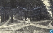 Weg naar Kasteel Ampsen Lochem