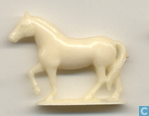Paard