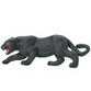 Panthers
