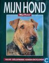 Mijn hond, mijn vriend 