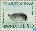 850 meerkleurig