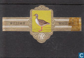 Grauwe gans