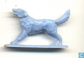 Hond