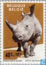 Dierentuin Antwerpen