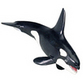 Orcas