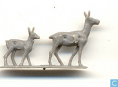 Deer