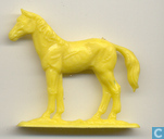 Paard