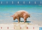 B000483 - Jiskefet