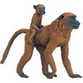 Apes