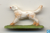 Hond