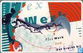 Flex Werk Zuid, zet kracht bij