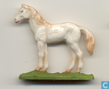 Paard