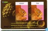 Eekhoornopvang & Das en Boom