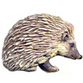 Hedgehogs
