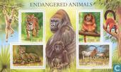 Bedreigde dieren