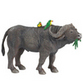 Buffalo