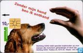 SOHO hond
