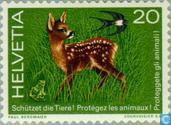 Dierenbescherming