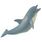 Dolphins