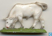Stier