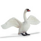 Swans