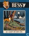 Het geheim van Rainy Lake