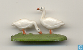Ganzen