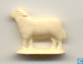 Schaap