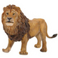Lions and lionesses