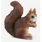 Squirrels