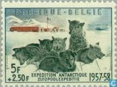 Zuidpoolexpeditie