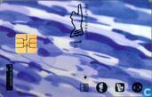Double Dutch - haringrug
