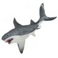 Sharks