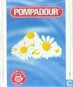 camomile Flowers