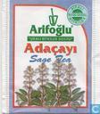 Adaçayi
