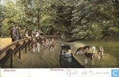 Hertenkamp