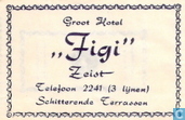 Groot Hotel "Figi"