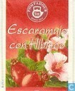 Escaramujo con Hibiscus